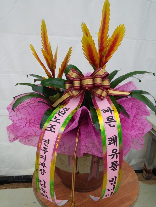 2015��1��21��(������)