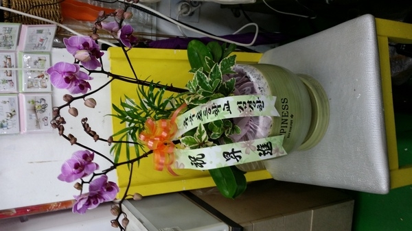 1��29��(�����)