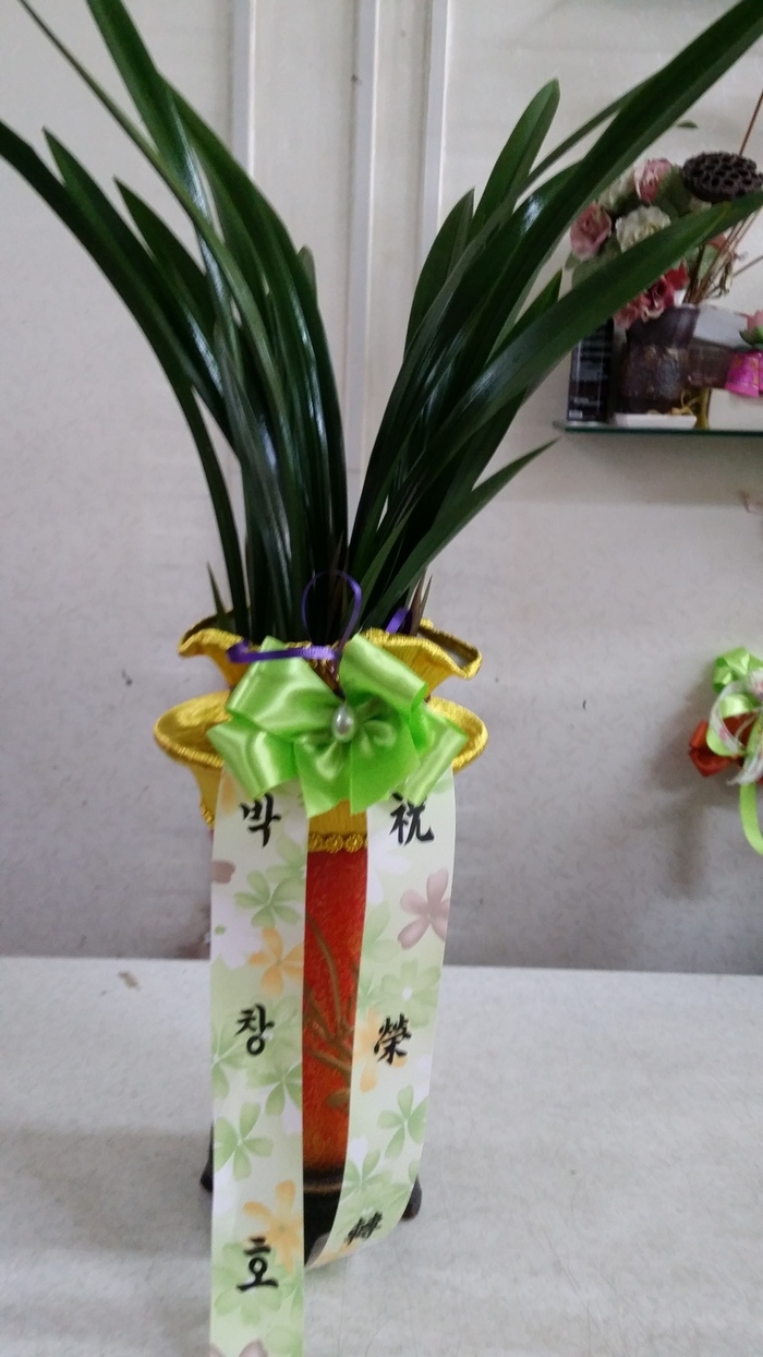 1��29��(�����)