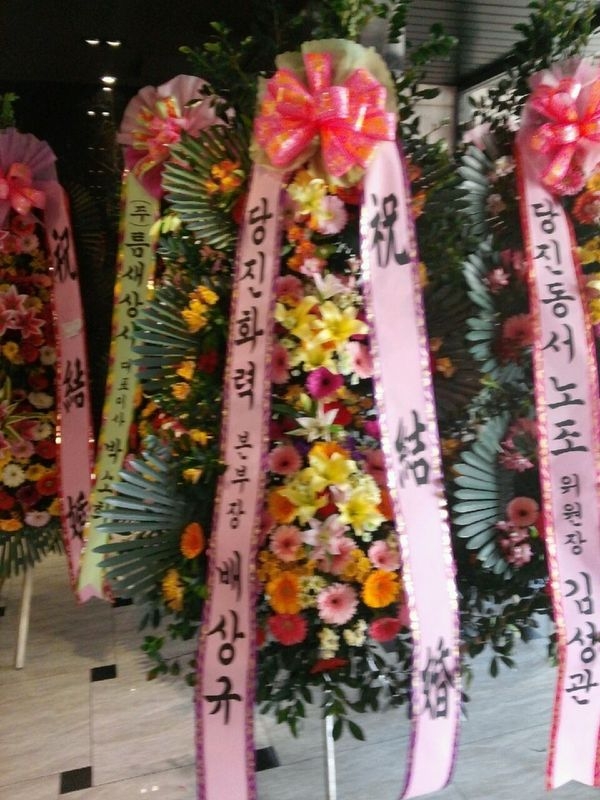 1��29��(�����)