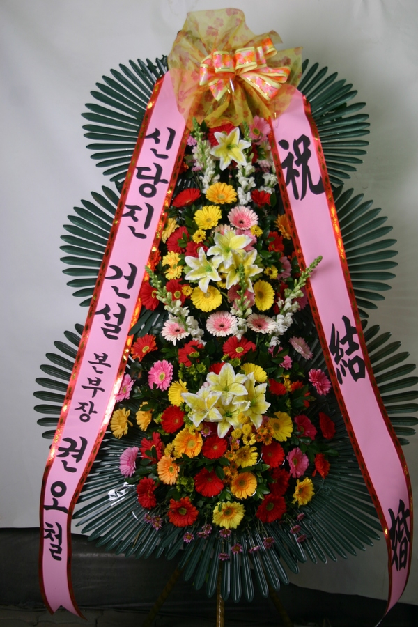 1��29��(�����)