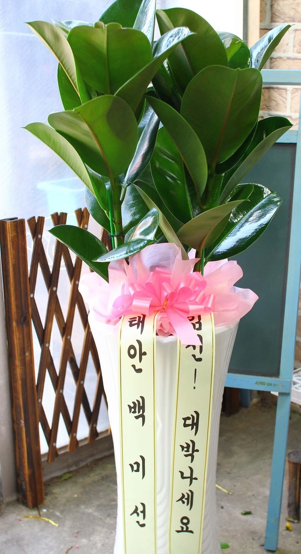 1��29��(�����)