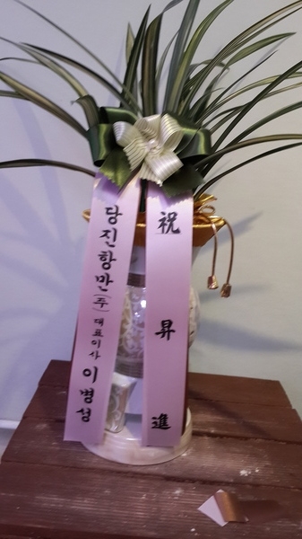 1��29��(�����)