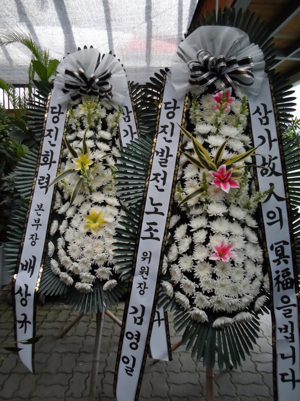 1��29��(�����)