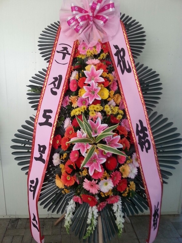 1��29��(�����)