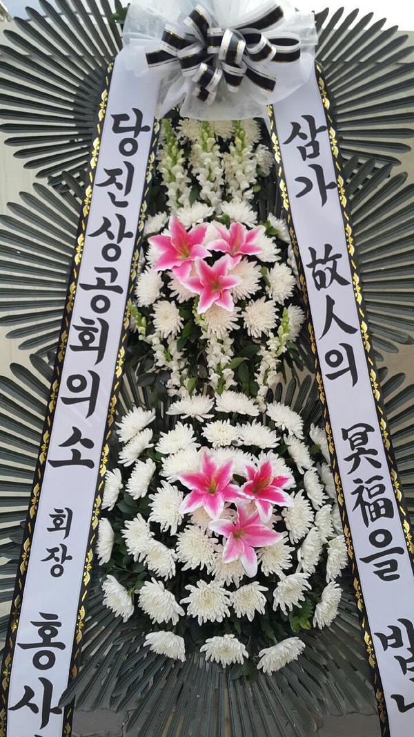 1��29��(�����)