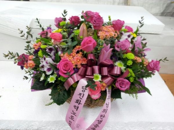 1��29��(�����)