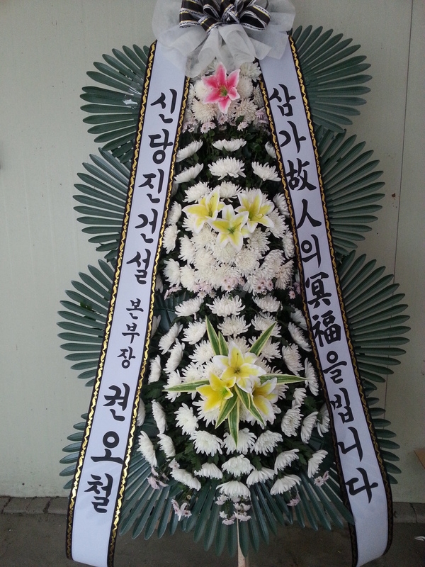 1��29��(�����)