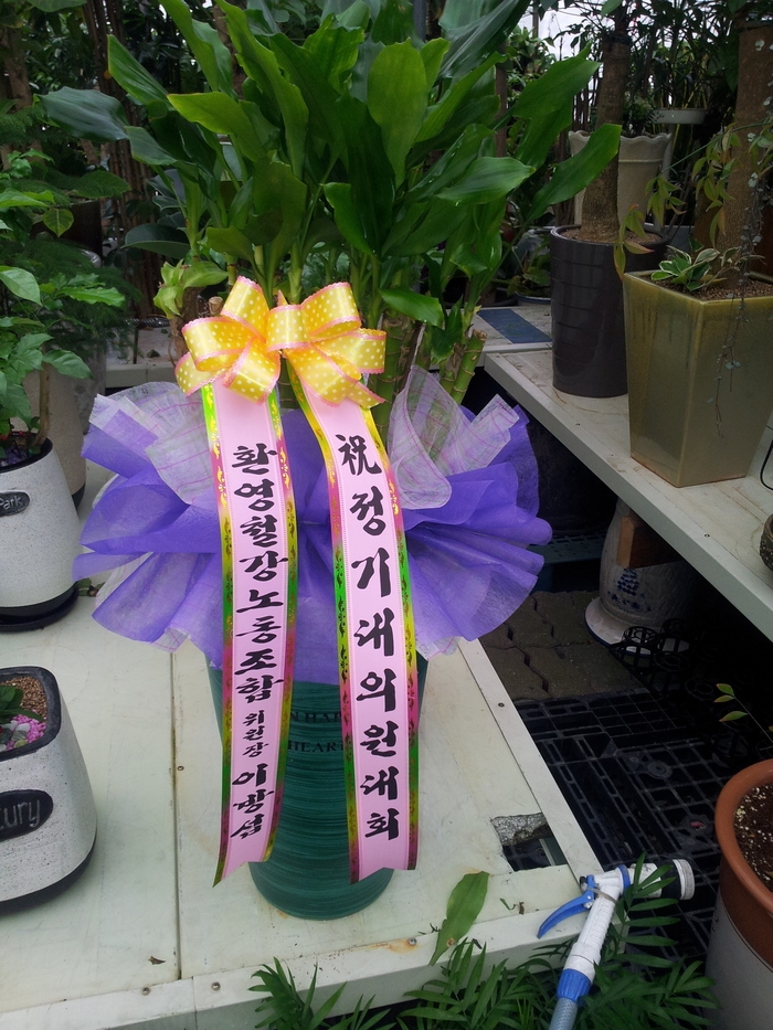 1��29��(�����)