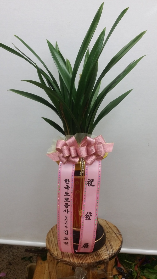 1��29��(�����)