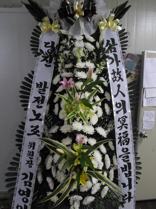 1��29��(�����)