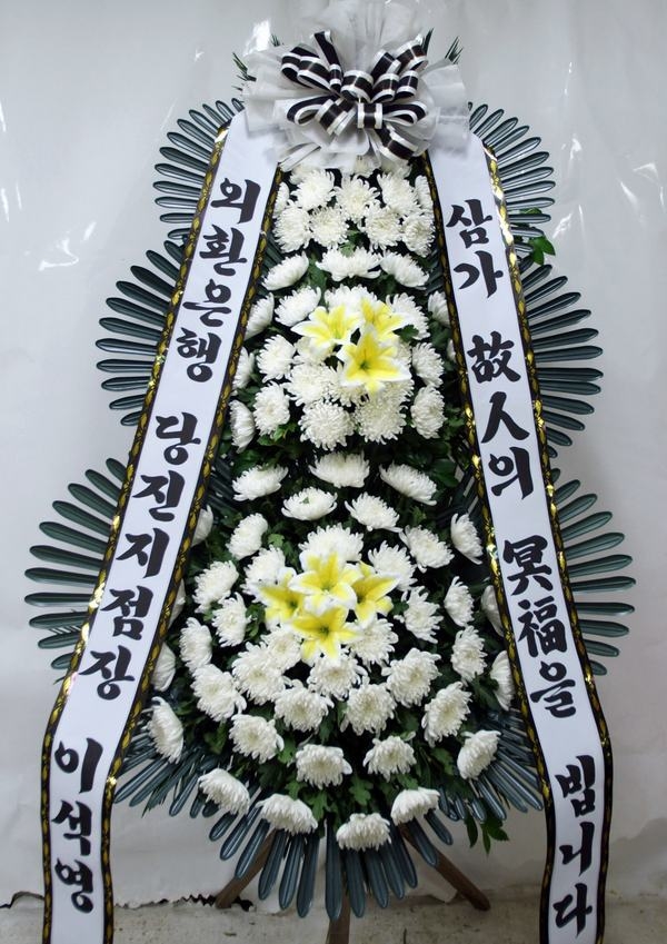 1��29��(�����)