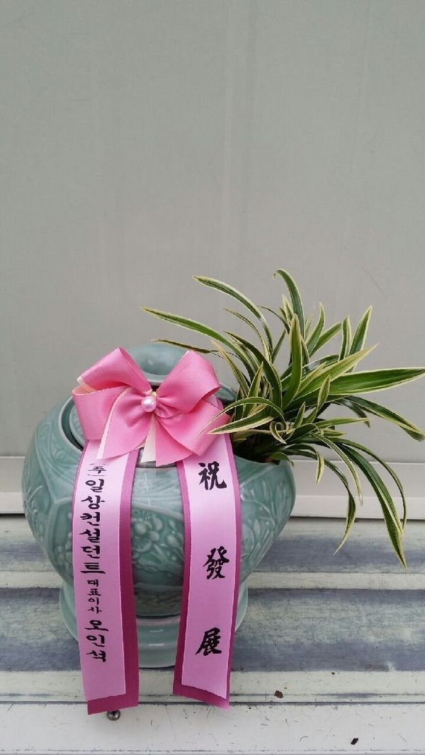 1��29��(�����)