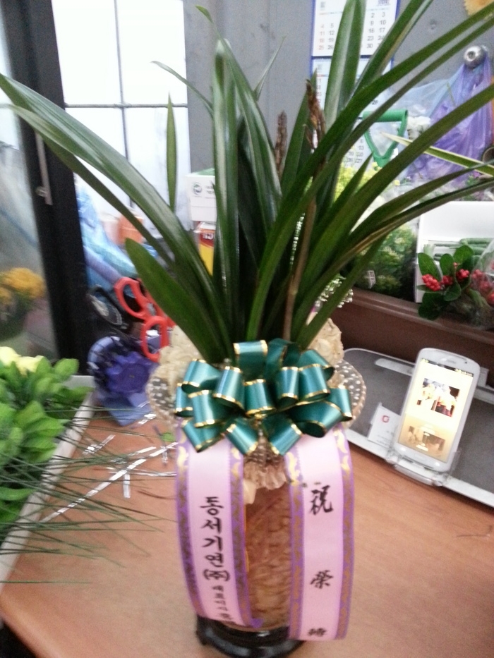 2��7��(�����)