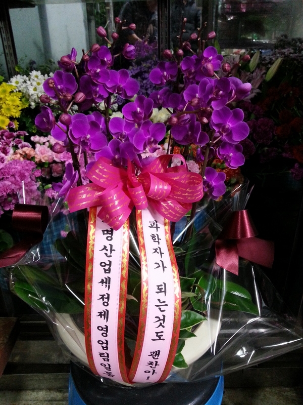 2��7��(�����)