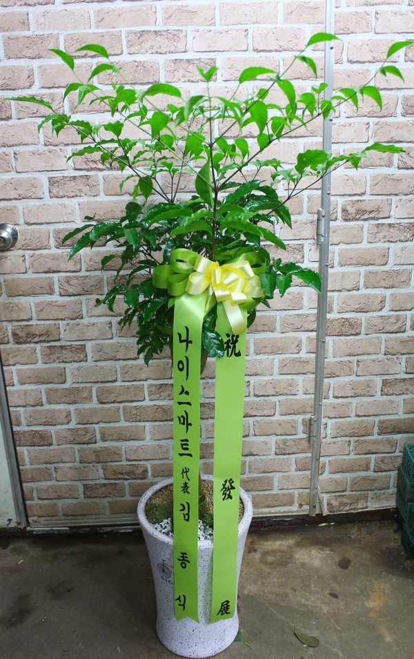 2��7��(�����)