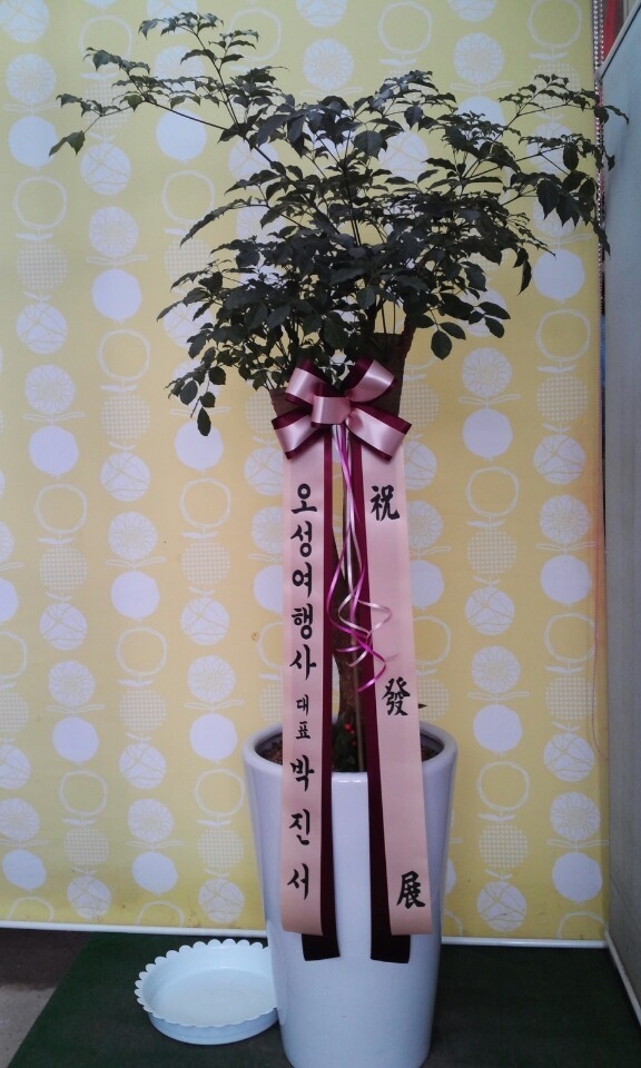 2��7��(�����)