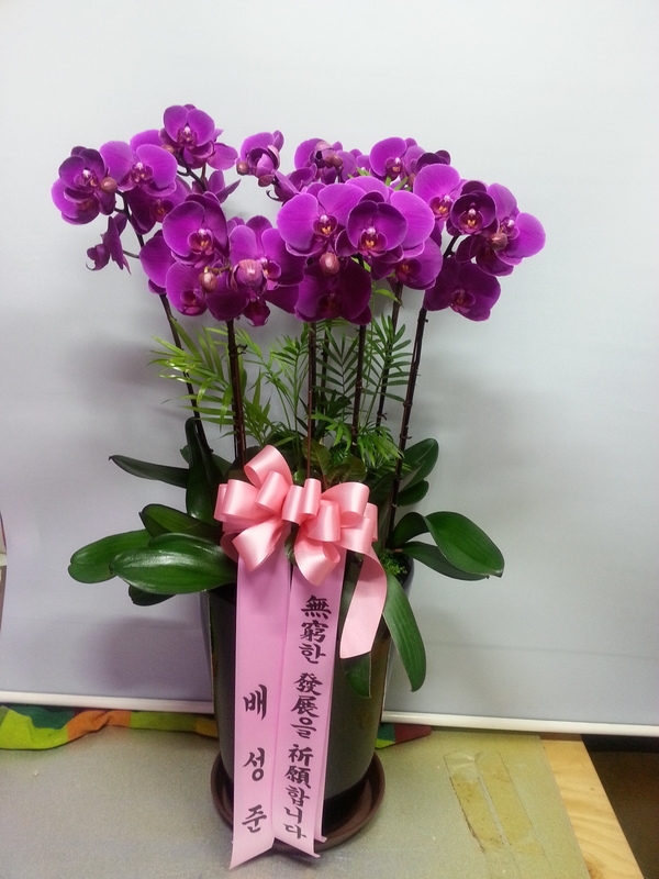 2��7��(�����)