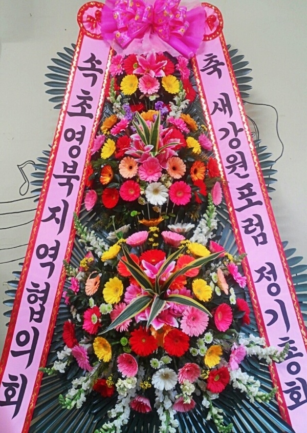 2��11��(������)