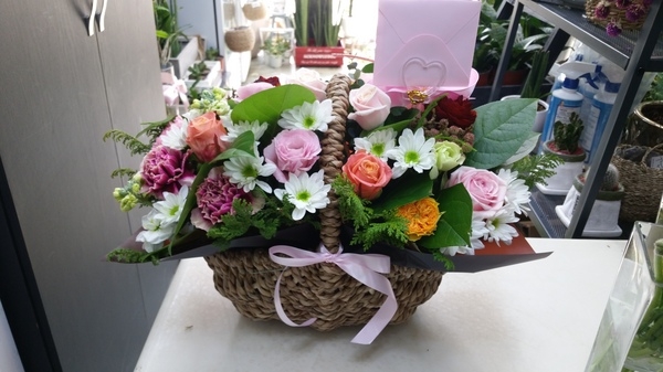 2��11��(������)