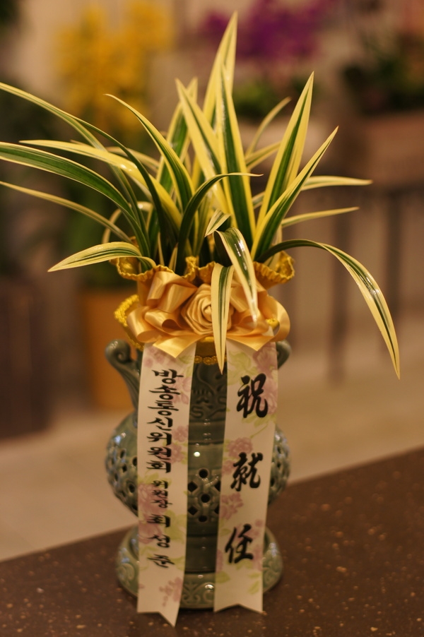 2��11��(������)