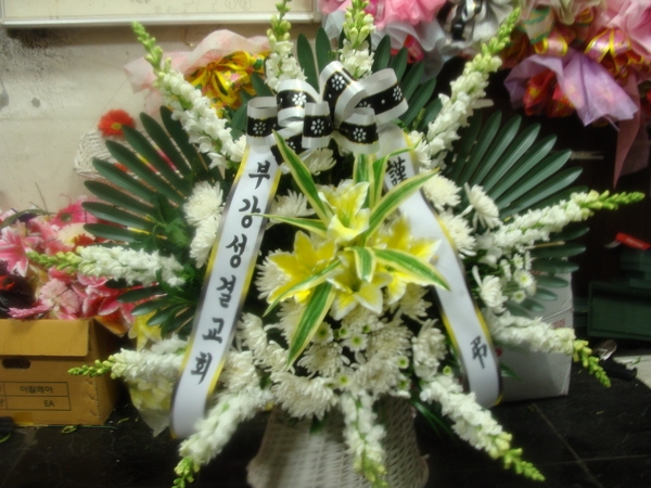 2��11��(������)