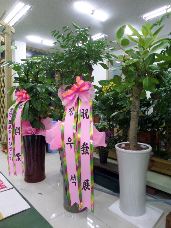 2��11��(������)