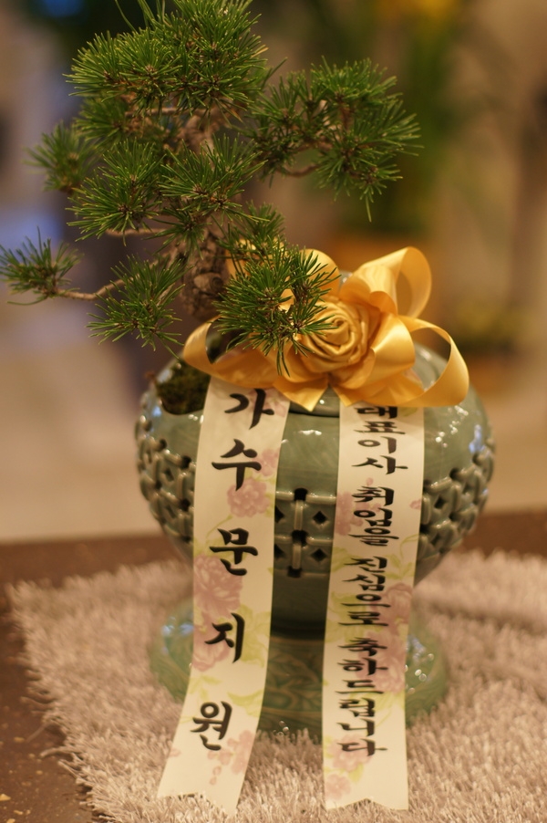 2��11��(������)