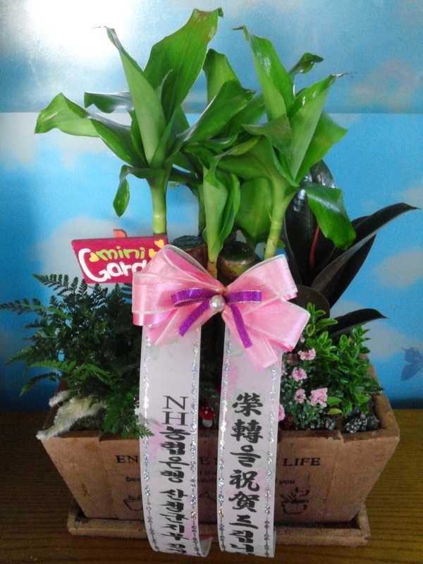 2��11��(������)