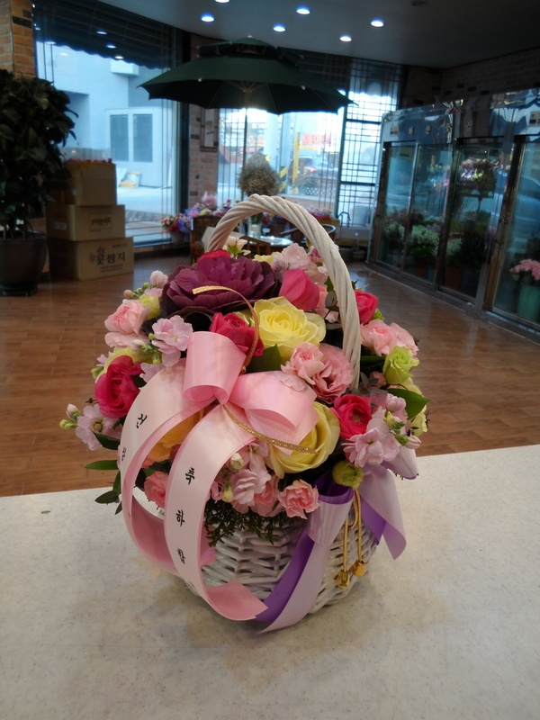 2��11��(������)