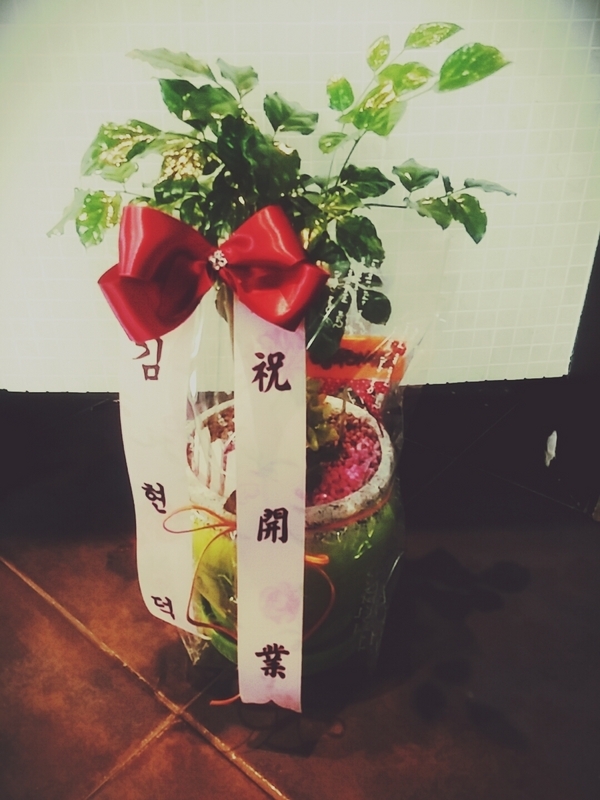 2��11��(������)