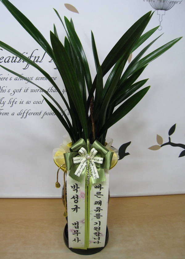 2��11��(������)