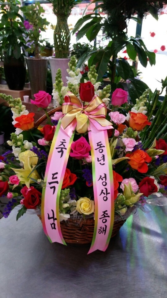 2��11��(������)