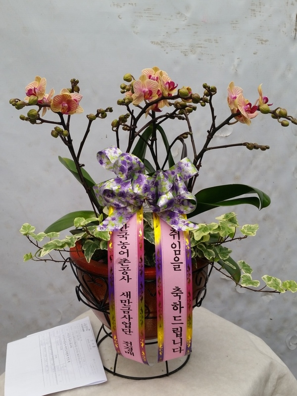 2��11��(������)