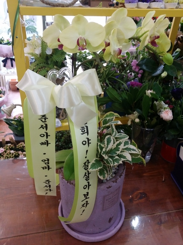 2��11��(������)