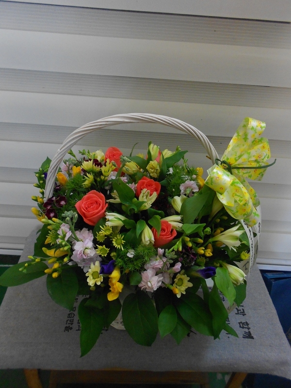 2��11��(������)