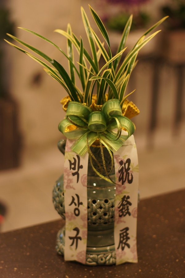 2��11��(������)