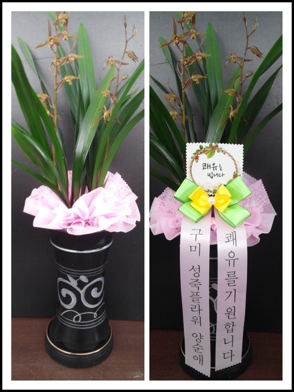 4��8��(�����)