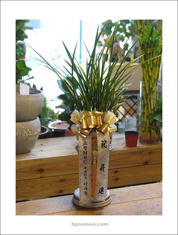 4��8��(�����)