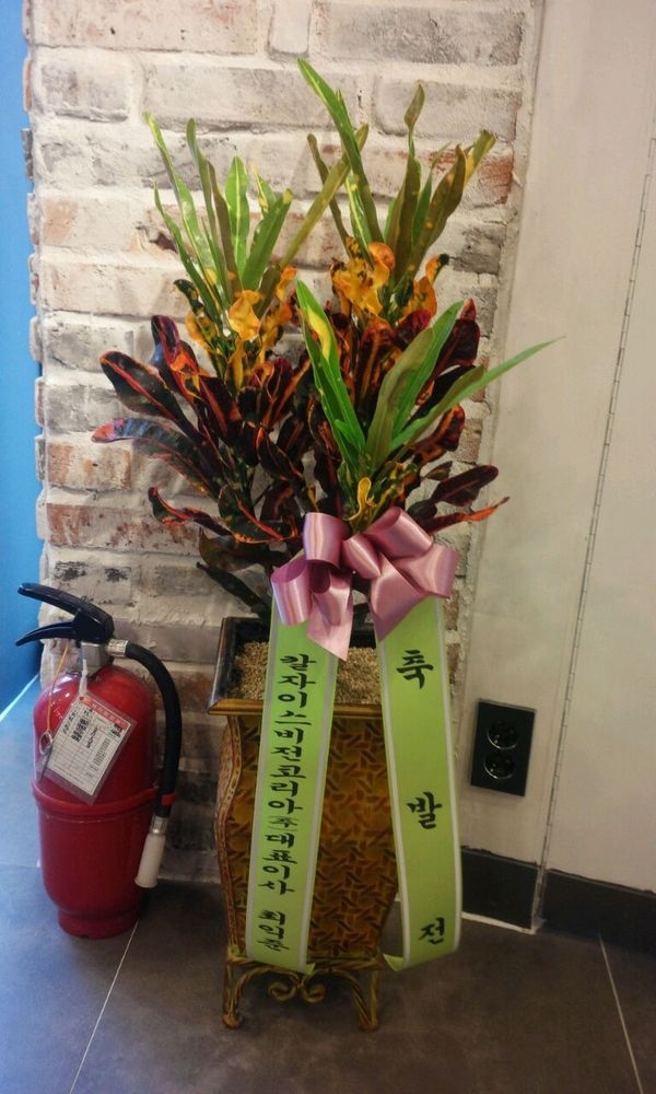 4��8��(�����)