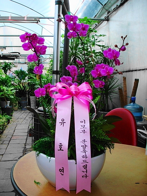 4��8��(�����)