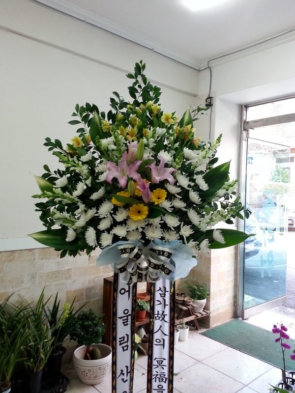 4��13��(������)