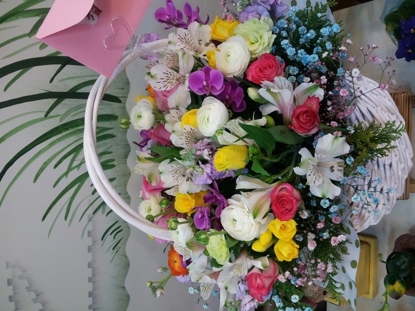 4��13��(������)