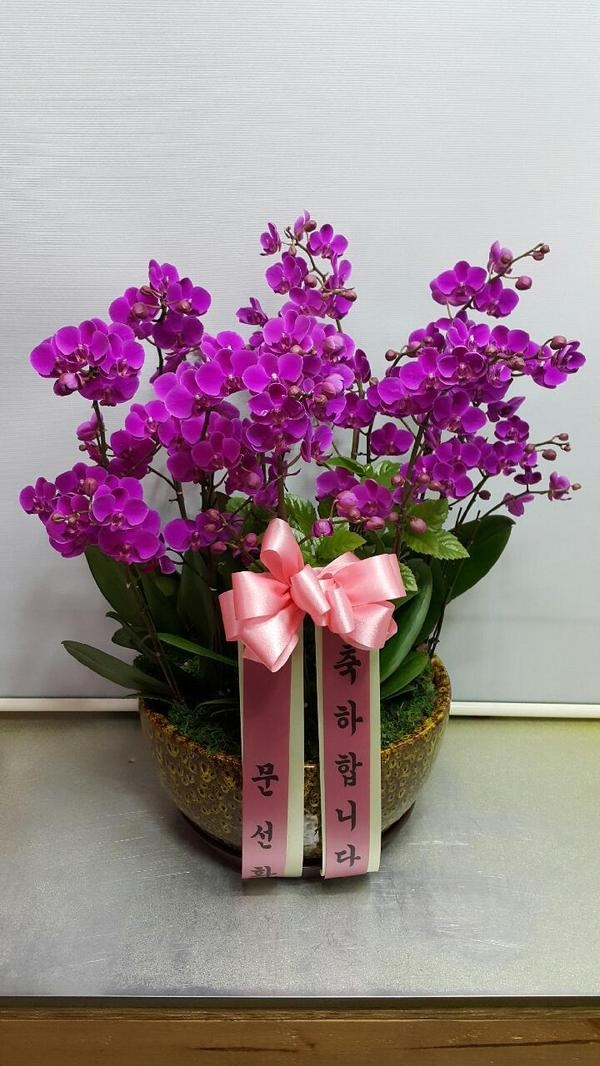 4��13��(������)