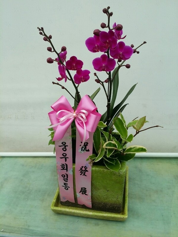 4��13��(������)