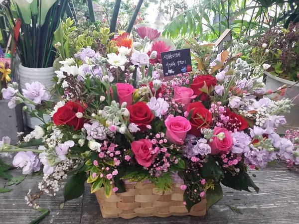 4��13��(������)