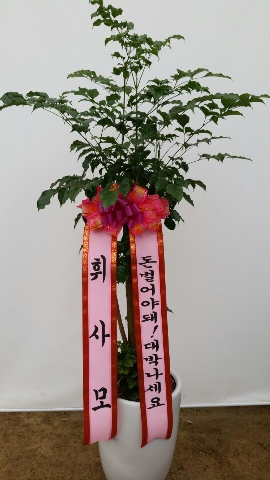 4��13��(������)