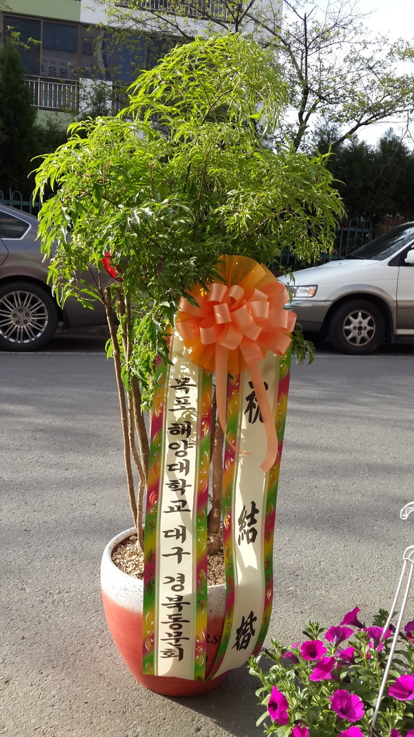 4��20��(������)