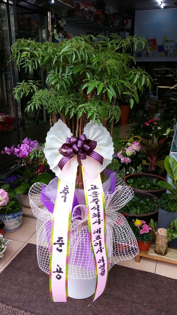 4��20��(������)