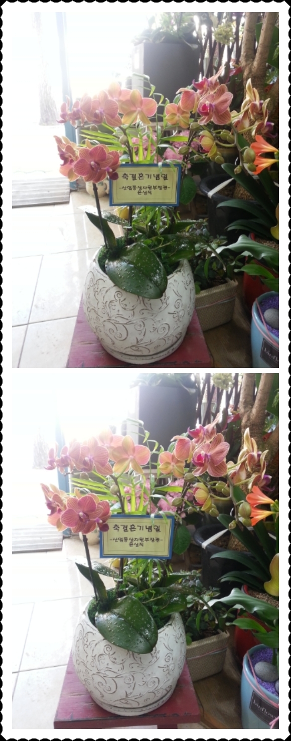 4��20��(������)